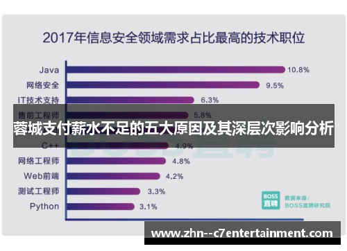 蓉城支付薪水不足的五大原因及其深层次影响分析