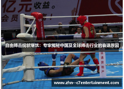 自由搏击现状堪忧：专家揭秘中国及全球搏击行业的衰退原因