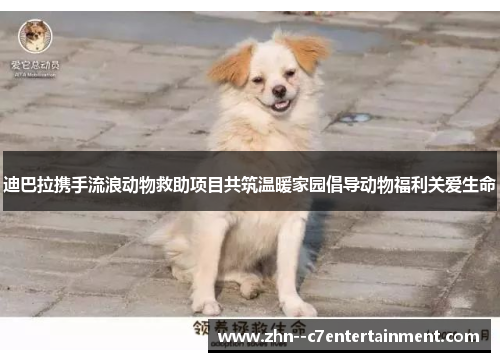 迪巴拉携手流浪动物救助项目共筑温暖家园倡导动物福利关爱生命